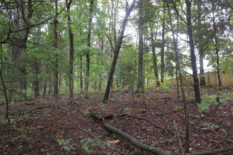 0 Spring View Dr, Lenoir City, TN 37772