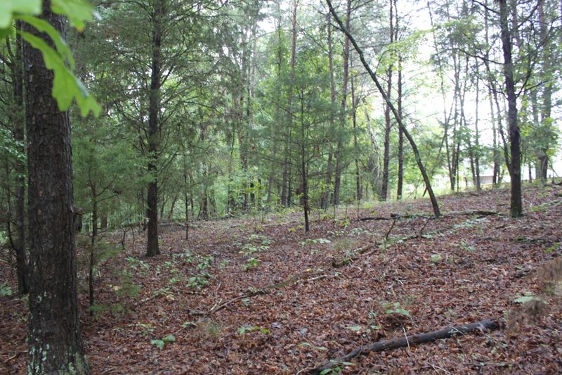 0 Spring View Dr, Lenoir City, TN 37772
