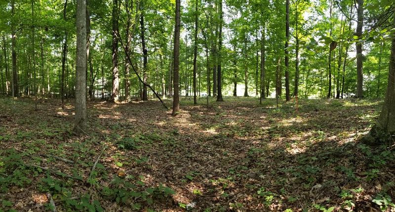0 Springview Cir, Seymour, TN 37865