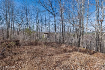 0 Sr 27, Sunbright, TN 37872