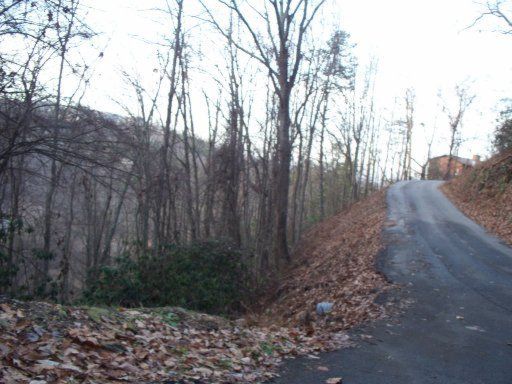 0 St Moritz Ct, Gatlinburg, TN 37738