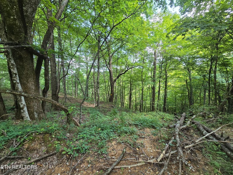 0 Stanley Creek, Oneida, TN 37841