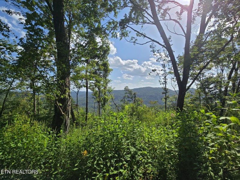 0 Stanley Creek, Oneida, TN 37841
