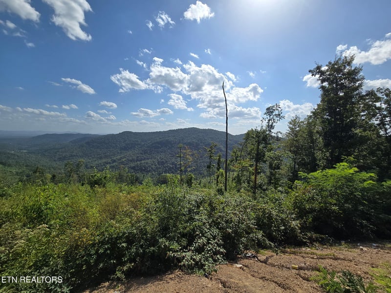 0 Stanley Creek, Oneida, TN 37841