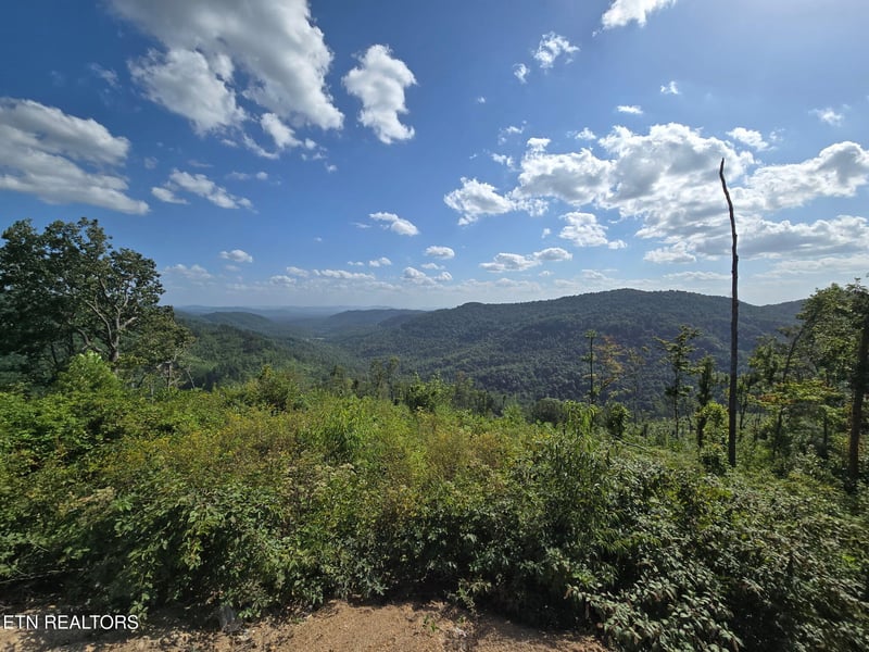 0 Stanley Creek, Oneida, TN 37841