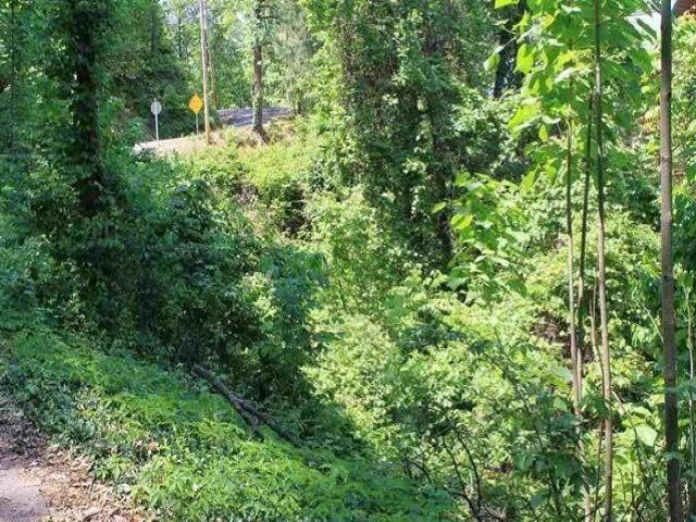 0 Stans Rd, Gatlinburg, TN 37738