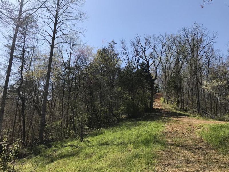 0 Stanton Road Rd, Seymour, TN 37865