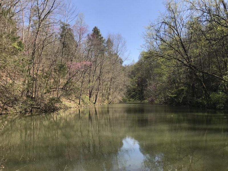 0 Stanton Road Rd, Seymour, TN 37865