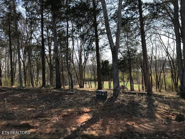 0 Star Ln, Rockwood, TN 37854