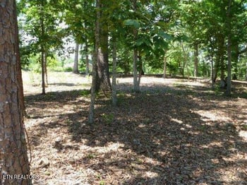 0 Star Ln, Rockwood, TN 37854