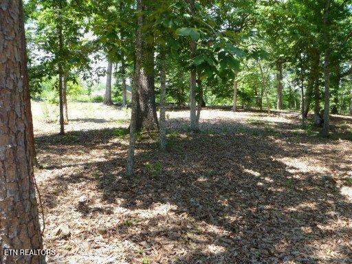 0 Star Ln, Rockwood, TN 37854