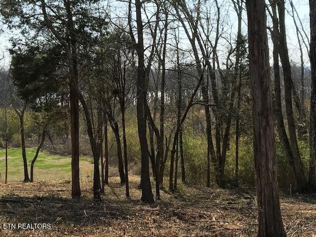 0 Star Ln, Rockwood, TN 37854