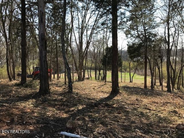 0 Star Ln, Rockwood, TN 37854