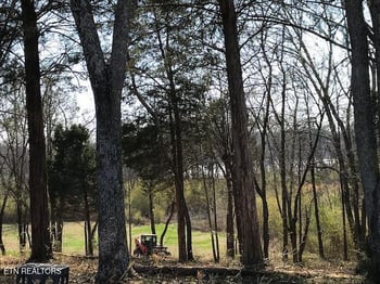 0 Star Ln, Rockwood, TN 37854