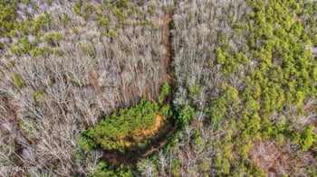 0 Steer Creek Rd, Tellico Plains, TN 37385