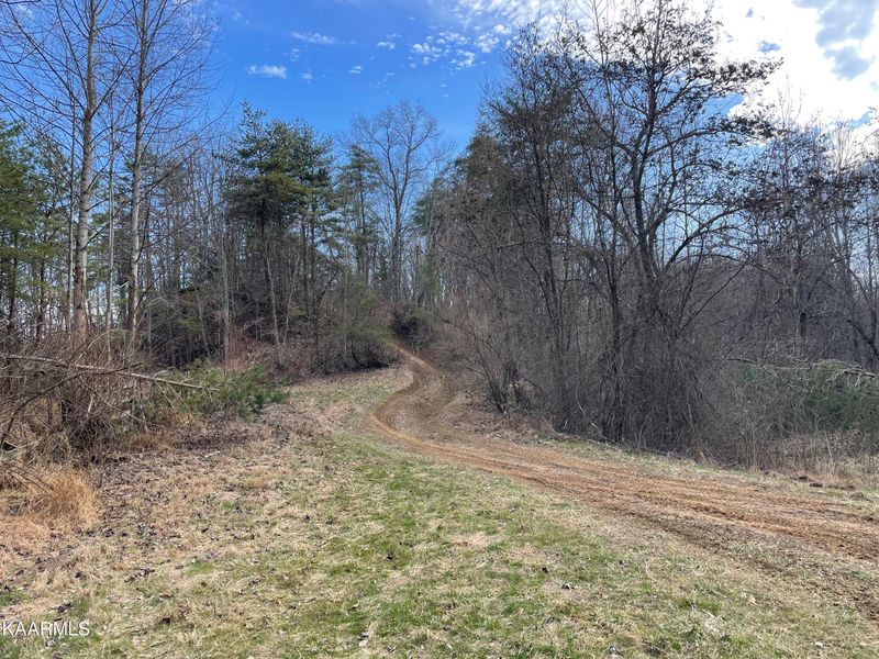0 Stephen Ln, Pioneer, TN 37847