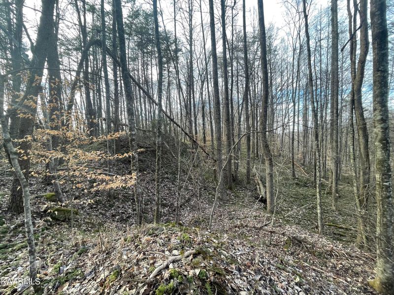 0 Stephen Ln, Pioneer, TN 37847