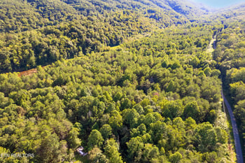0 Steve Brown Rd, Bean Station, TN 37708