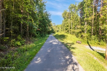 0 Steve Brown Rd, Bean Station, TN 37708