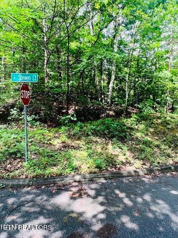 0 Steven Ct, Pigeon Forge, TN 37863