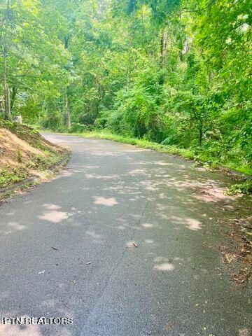0 Steven Ct, Pigeon Forge, TN 37863