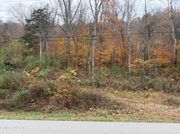 0 Stinking Creek Rd, Lafollette, TN 37766