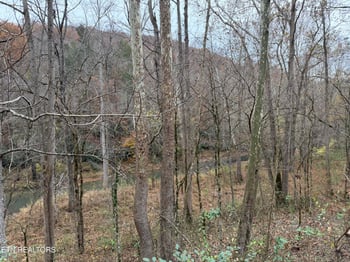 0 Stinking Creek Rd, Lafollette, TN 37766