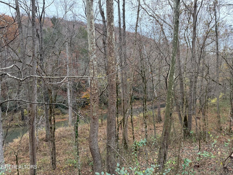0 Stinking Creek Rd, Lafollette, TN 37766