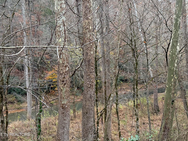 0 Stinking Creek Rd, Lafollette, TN 37766