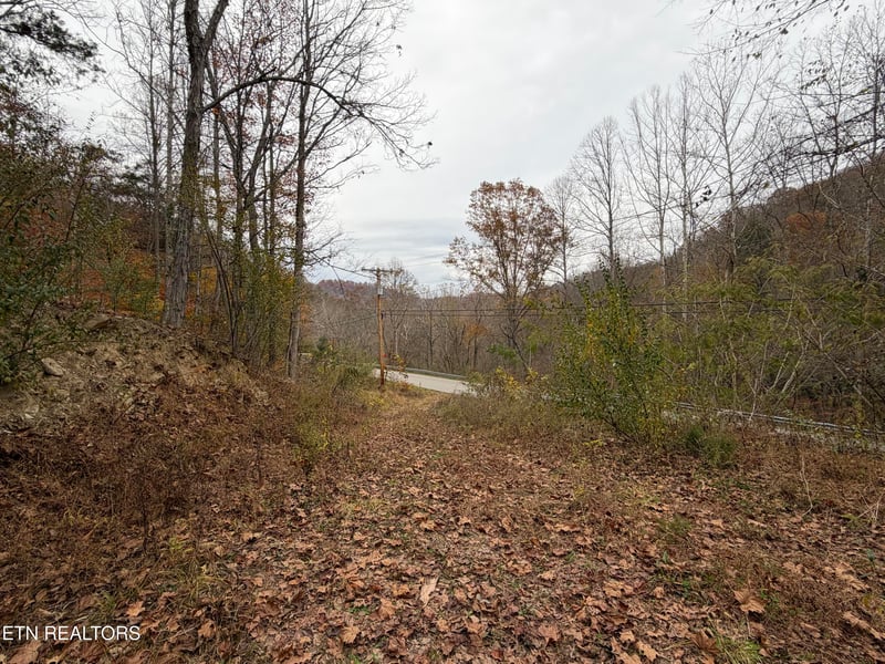0 Stinking Creek Rd, Lafollette, TN 37766