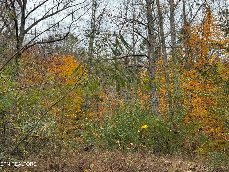 0 Stinking Creek Rd, Lafollette, TN 37766