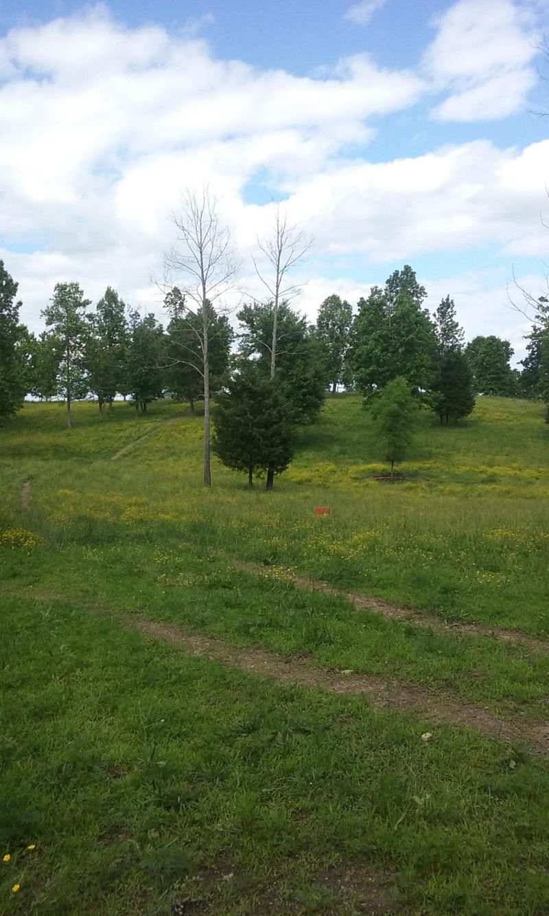 0 Stockton Valley Rd, Philadelphia, TN 37846