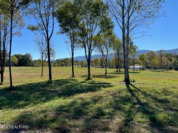 0 Stone Mill Lot 1 Rd, Jacksboro, TN 37757