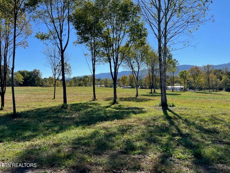 0 Stone Mill Lot 1 Rd, Jacksboro, TN 37757