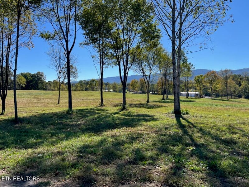 0 Stone Mill Lot 1 Rd, Jacksboro, TN 37757