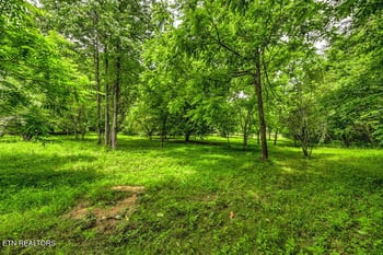 0 Stone Ridge Dr, Andersonville, TN 37705