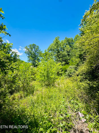 0 Stoney Fork Rd #141 020.00, Caryville, TN 37714
