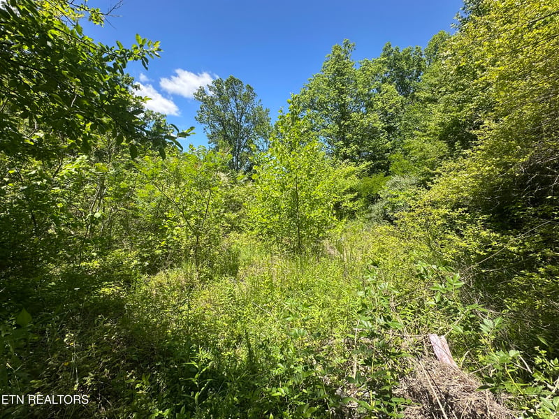 0 Stoney Fork Rd #141 020.00, Caryville, TN 37714