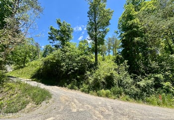 0 Stoney Fork Rd #141 020.00, Caryville, TN 37714