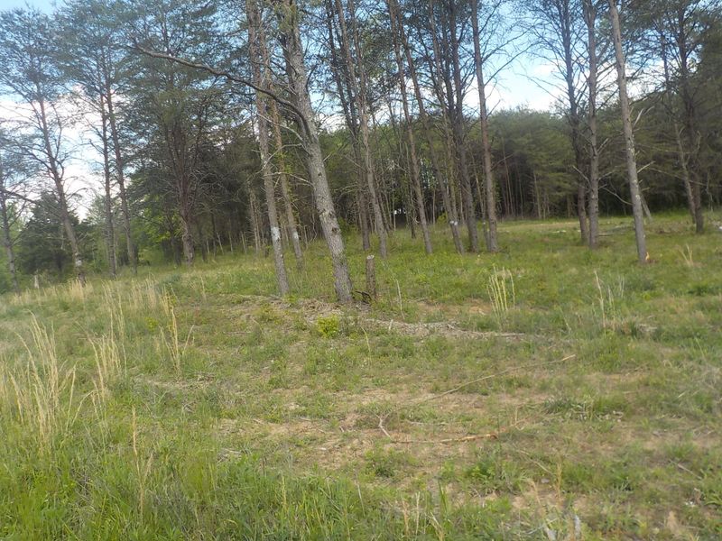 0 Stouttown Rd, Blaine, TN 37709