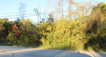0 Stowers Dr, Corryton, TN 37721