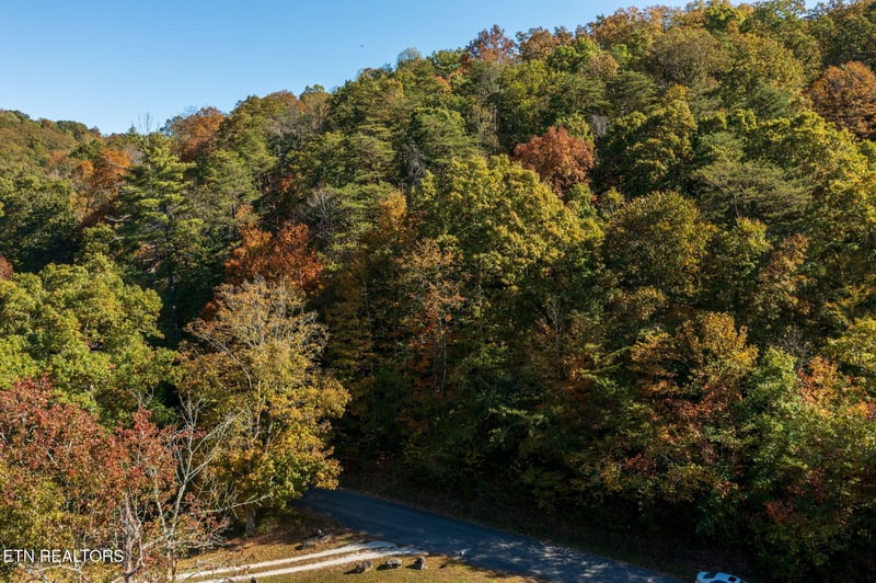 0 Strong Hollow Ln, Rocky Top, TN 37769