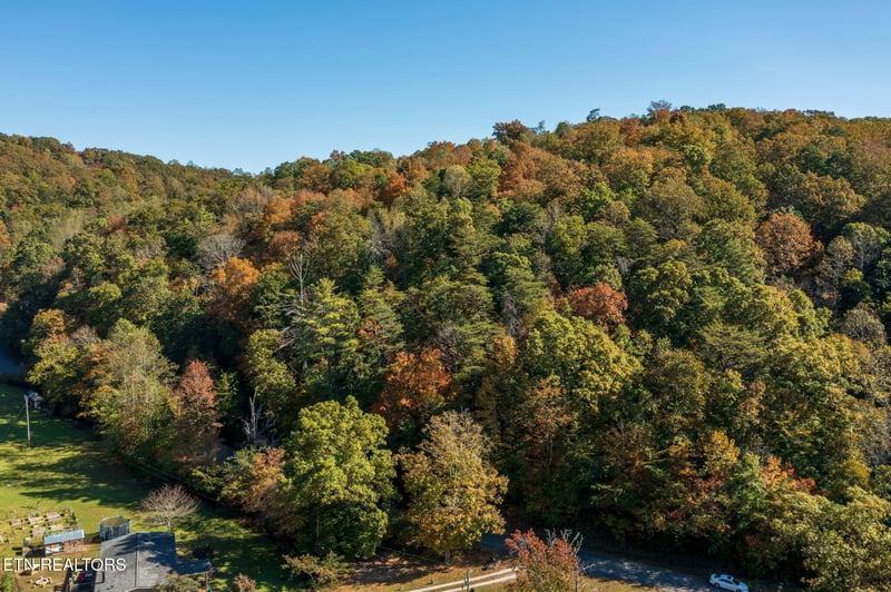 0 Strong Hollow Ln, Rocky Top, TN 37769