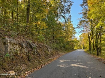 0 Strong Hollow Ln, Rocky Top, TN 37769