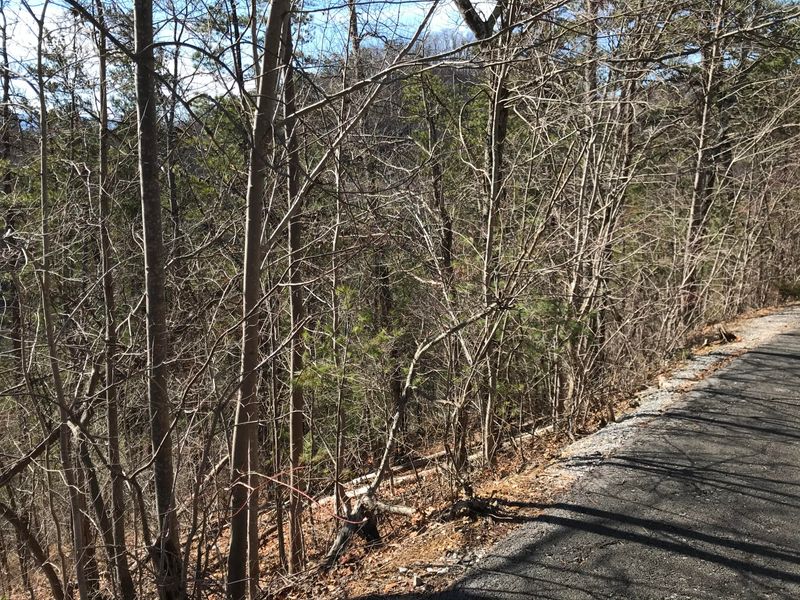 0 Sugar Maple Loop Rd, Sevierville, TN 37862