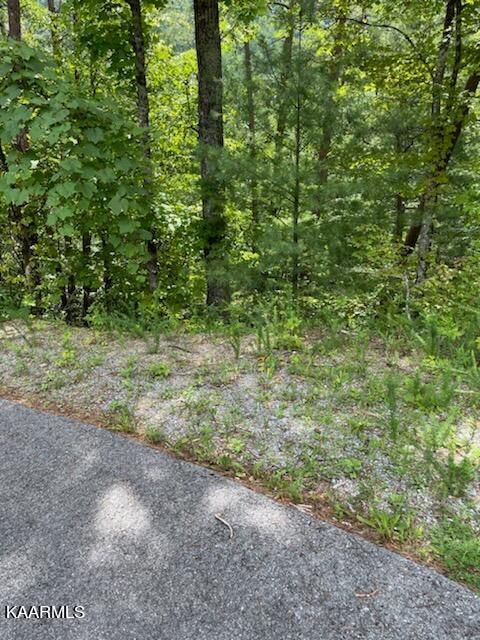 0 Sugar Maple Loop, Sevierville, TN 37862