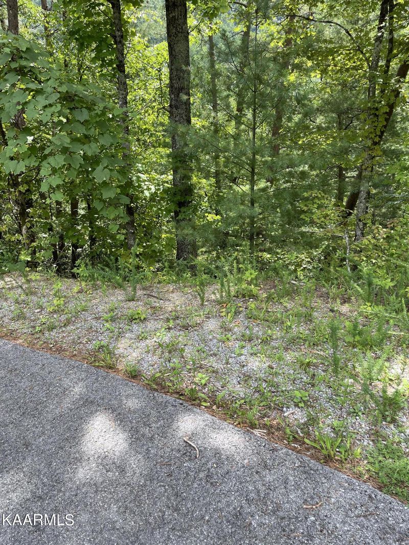 0 Sugar Maple Loop, Sevierville, TN 37862