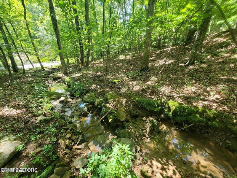 0 Sugarbush Cir #159 &161, Fairfield Glade, TN 38558