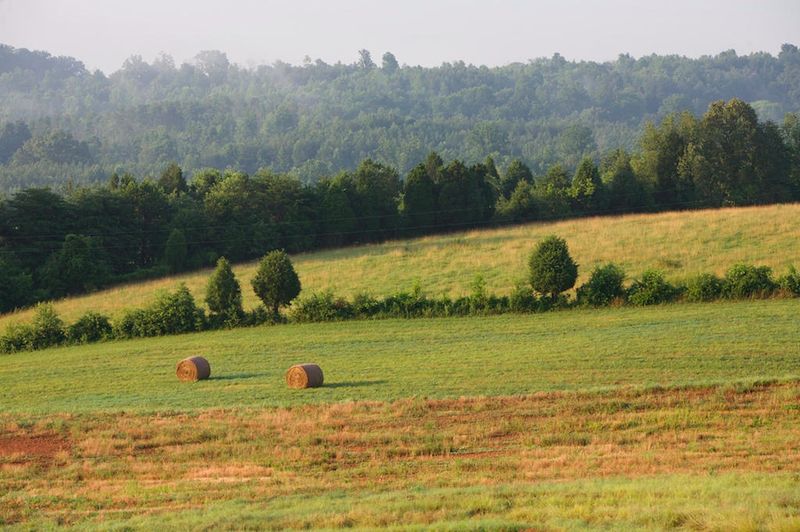 0 Summer Glenn Ln, Loudon, TN 37774