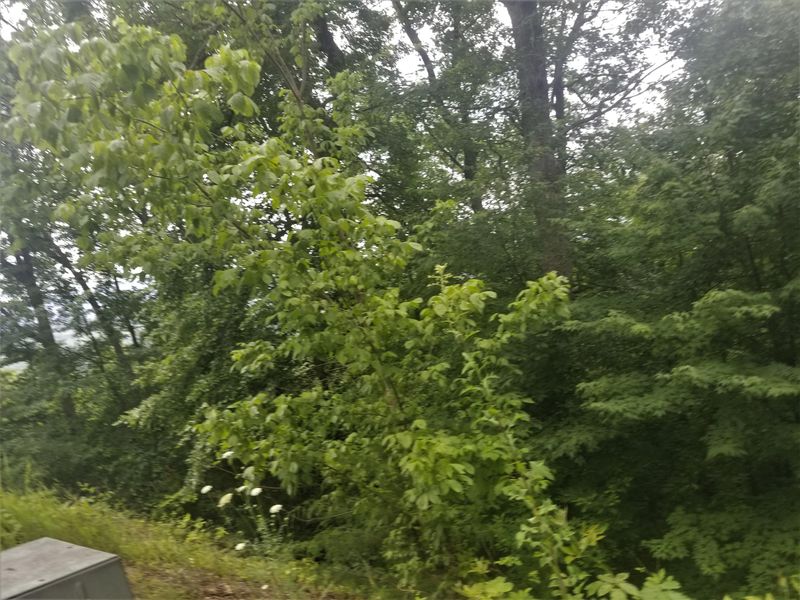 0 Summit Trails Dr Lot 29, Sevierville, TN 37862